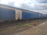 CPS FLT-302056-8
